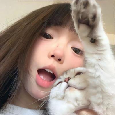 被掠夺的画作